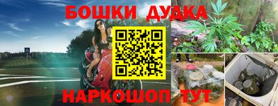 гидропоника Будённовск