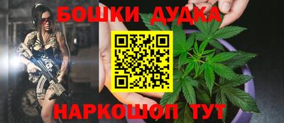 гидропоника Будённовск